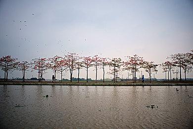 《刀剑乱舞无双》新辅助角色公开 可爱的狐狸“狐之助”